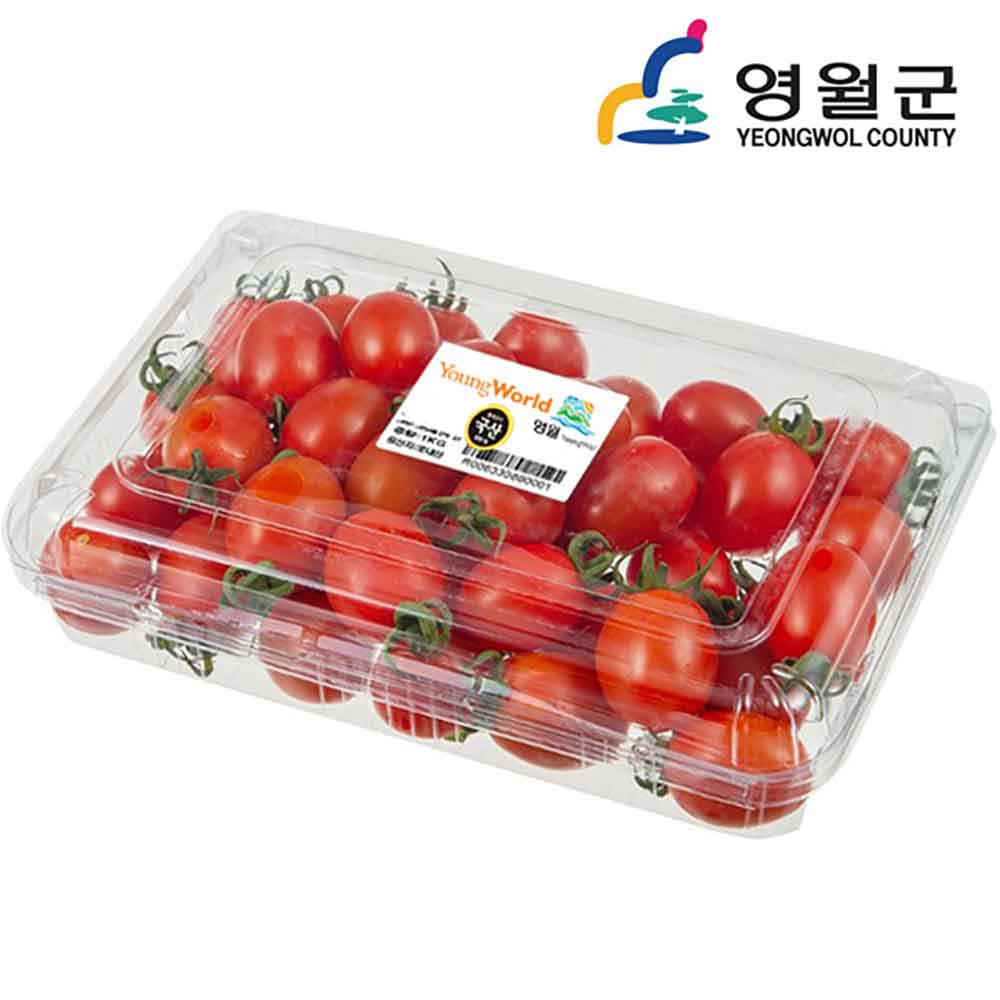 [동강애] 강원도 영월 대추토마토 750g/30~40개