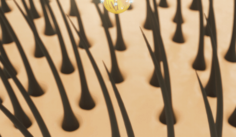 hbc-d1-24.gif