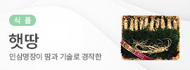 햇땅